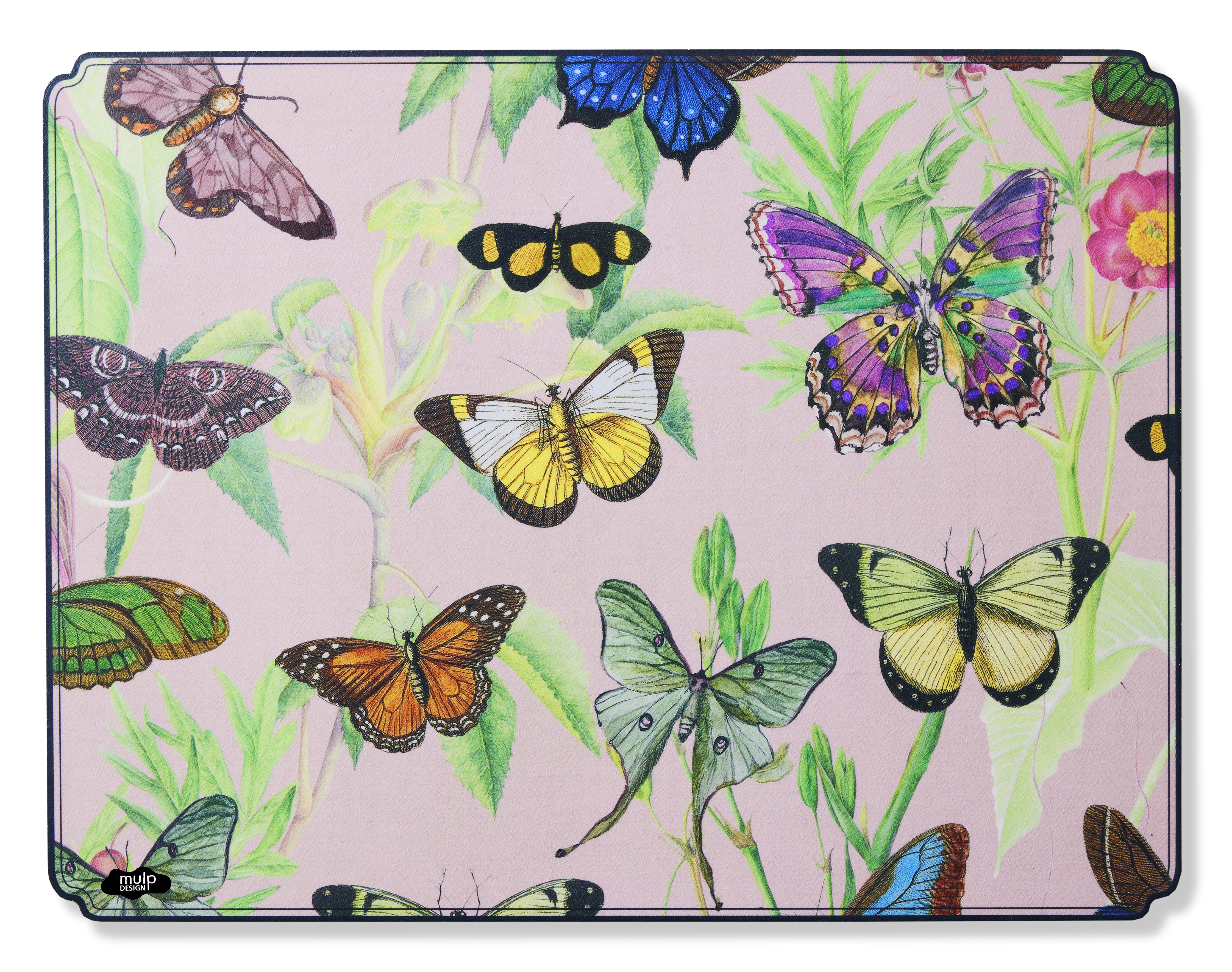 ELEMENTO DUE RETTANGOLARE