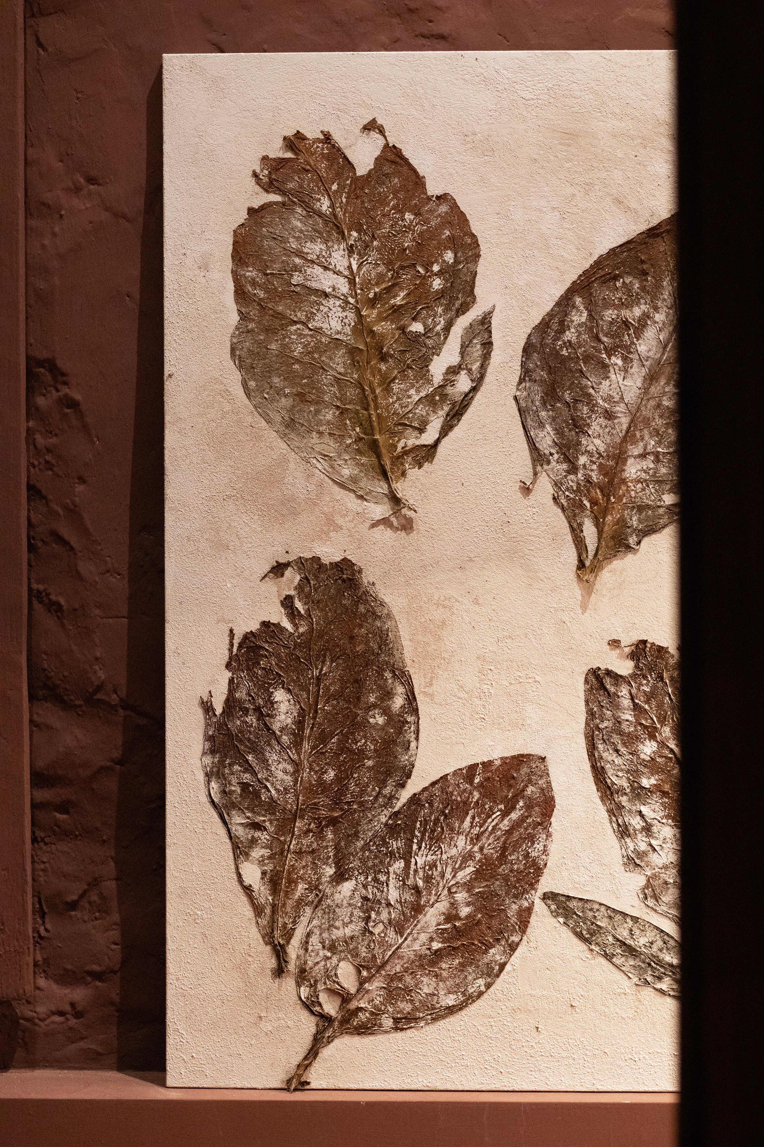 TELA FOGLIE DI TABACCO